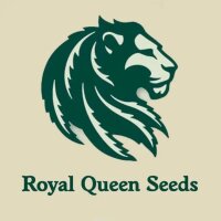 Royal Queen Seeds Auto