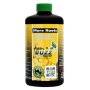 Green Buzz Nutrients | More Roots | 500ml
