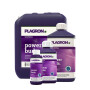 Plagron Power Buds 100ml, 250ml, 1L, 5L