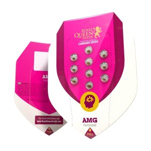 Royal Queen Seeds AMG | Feminisiert