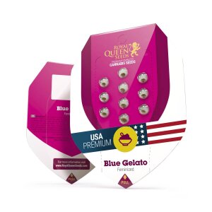 Royal Queen Seeds Blue Gelato | Feminisiert