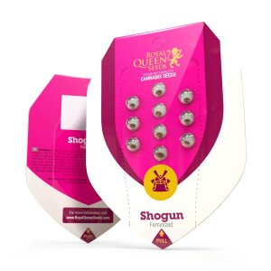 Royal Queen Seeds Shogun | Feminisiert