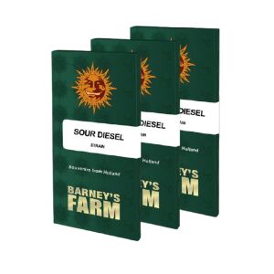 Barneys Farm Sour Diesel | Feminisiert | 3 Samen