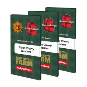 Barneys Farm Black Cherry Gushers | Feminisiert