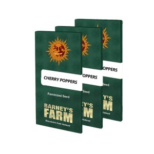 Barneys Farm Cherry Poppers | Feminisiert