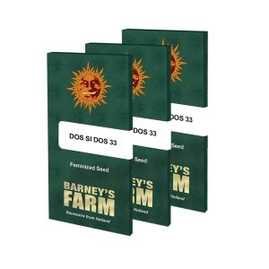 Barneys Farm Dos Si Dos 33 | Feminisiert