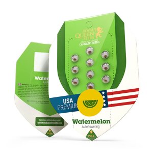 Royal Queen Seeds Watermelon | Autoflower | 3 Samen