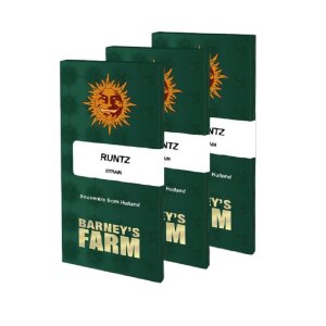 Barneys Farm Runtz | Feminisiert