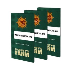 Barneys Farm White Widow XXL | Feminisiert