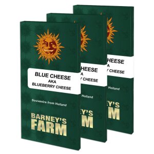 Barneys Farm Blue Cheese | Feminisiert