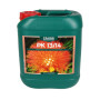 Canna | PK 13 - 14 | 10L