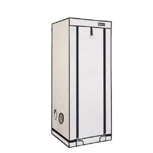 Homebox Ambient | Q60 Plus | 60 x 60 x 160cm