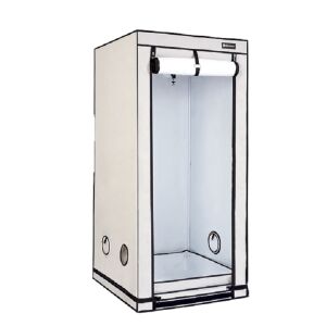 Homebox Ambient | Q80 Plus | 80 x 80 x 180cm